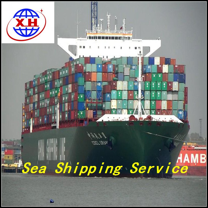 Top 10 Shipping Agent China To Mexico USA Sea Freight With Cheap Cost