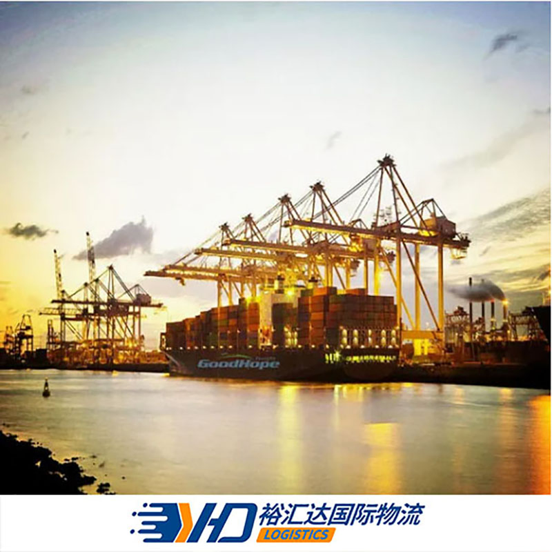 Battery Dg Cargo Shipping From China to Worldwide with DDU DDP International Express Sea Freight Forwarder Service
