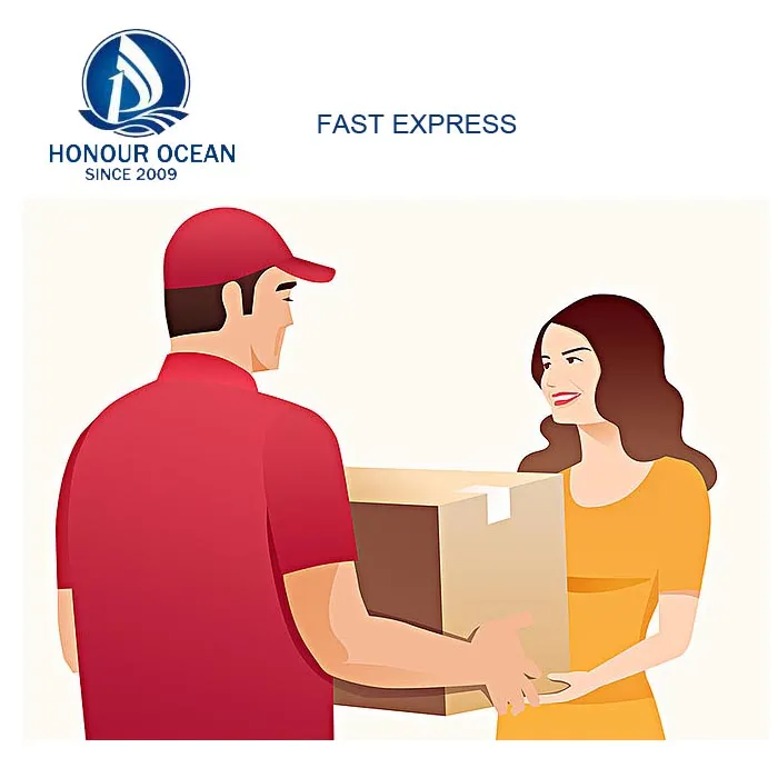 Shipping Logistics Network