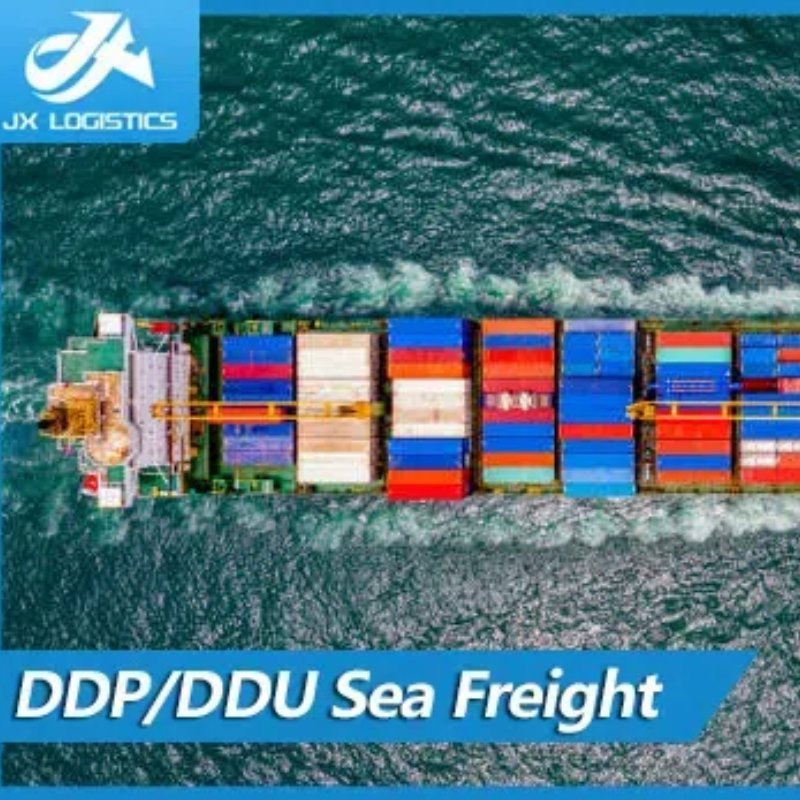 China to Mexico USA Canada Amazon Sea Logistics Service Sea Freight Agent