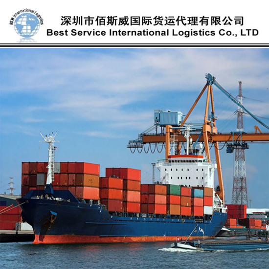 Sea Freight/Freight Forwarder/Logistic Service/Shipping Agent China to Australia, New Zealand, Canada, United States, Europe DDP DDU Service