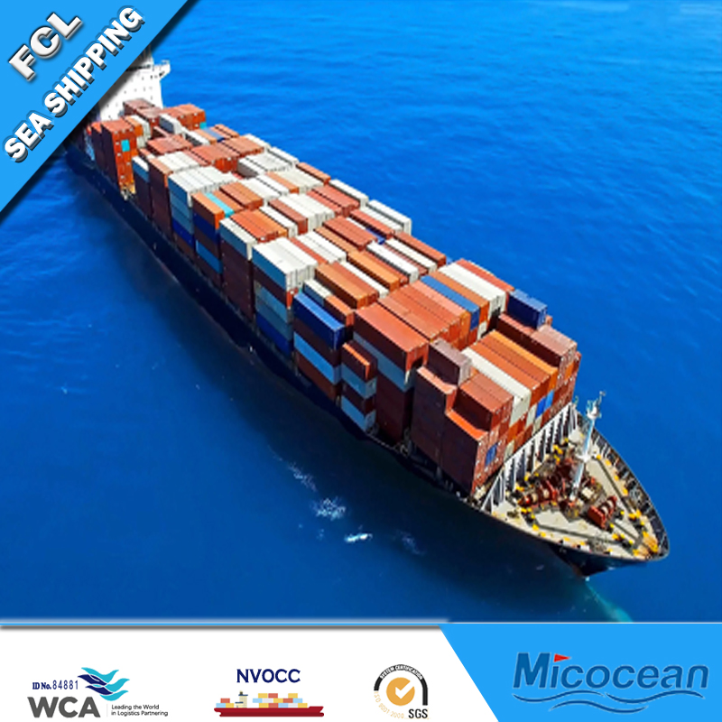 DDP DDU Forwarder Worldwide Sea Shipping Agency Service From China to Estonia