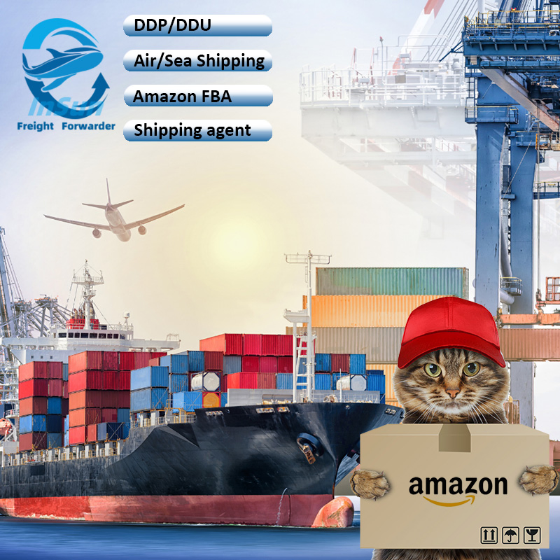 Economical Full Container Shipping Export Customs Clearance DDP Service From China to Spain