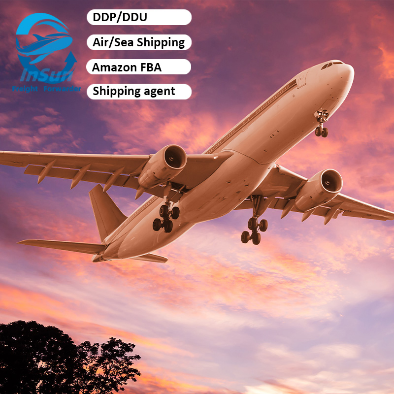 Comprehensive Air/Sea Freight Forwarding Services for Amazon Fba, Door-to-Door From China to Germany