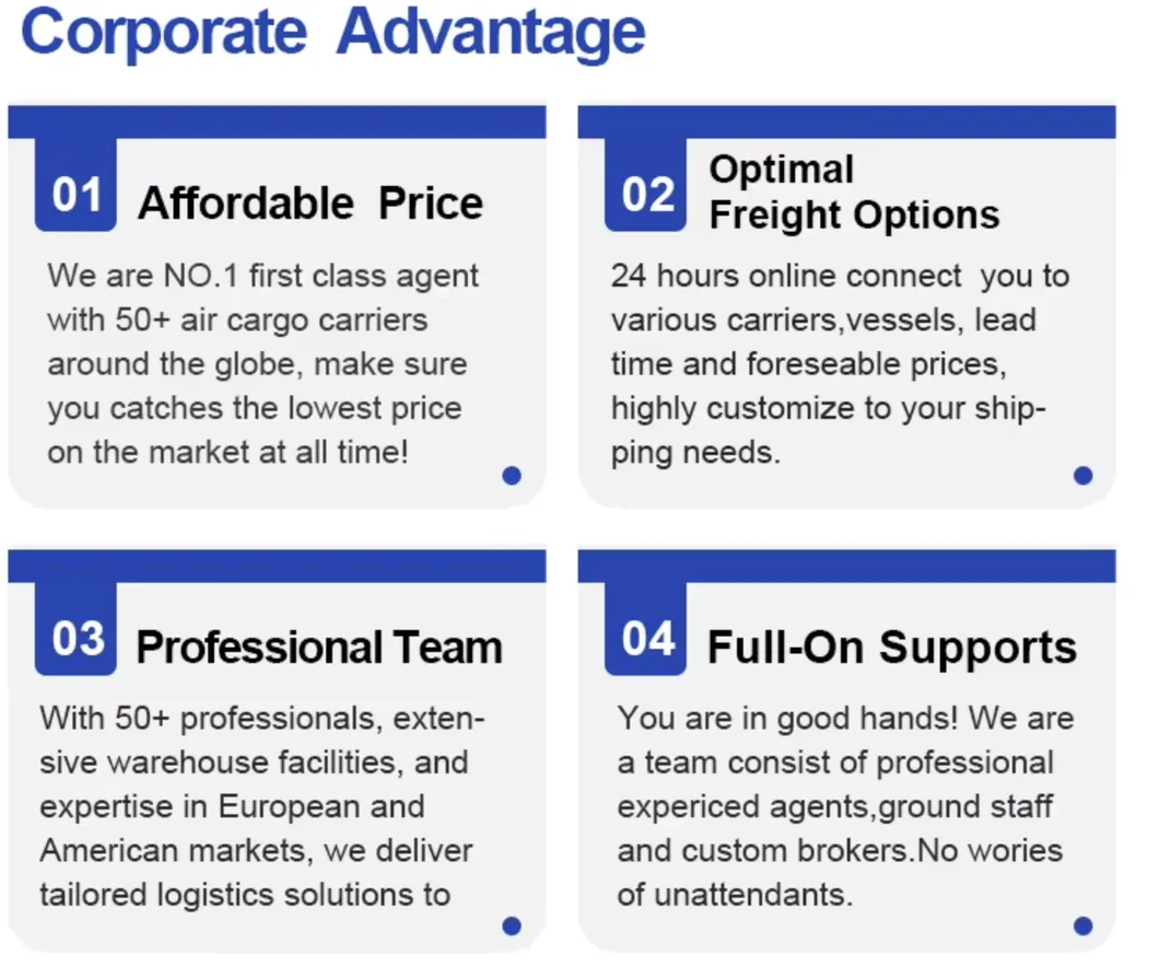 Our Advantages Infographic