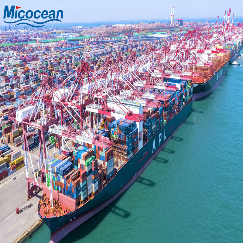 China Shenzhen Logistics Dangerous Goods Battery Products Sea Shipping to Aden/Hodeidah