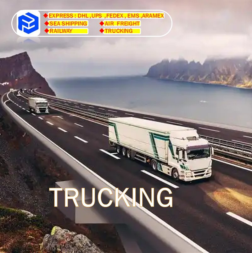 Free Warehouse FedEx UPS DHL Sea Shipping Air Freight Forwarder China to USA Canada Dubai UK Fr