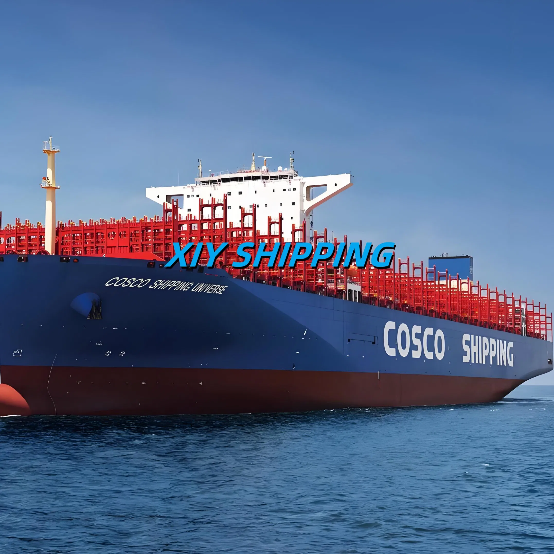 DDU DDP Sea Shipping Service From Shenzhen Guangzhou to Mexico City