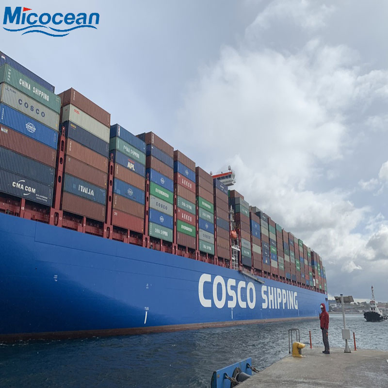 International Logistics Sea Shipping Agency Services From China to Argentina