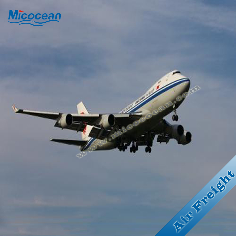 International Logistics DDU/DDP Sea Shipping Service to Russia From China