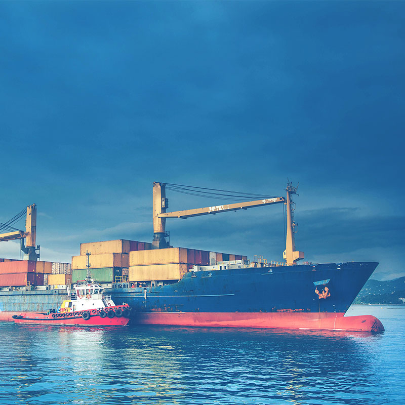 Shenzhen Logistics Dangerous Goods Sea Shipping Liquid, Powder, Battery, Chemical Products