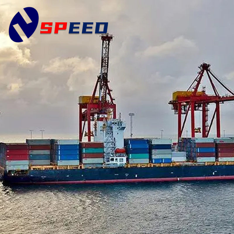 Shipping Services to United States From Shipping Agent China, Door to Door Sea Freight Logistics Delivery America