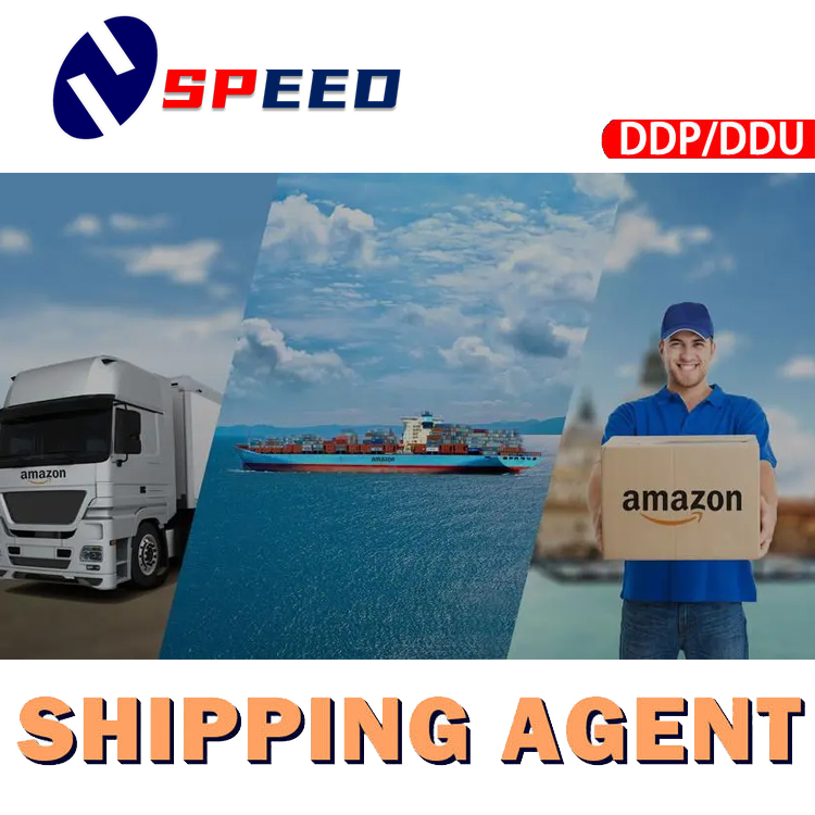 China Freight Forwarder Sea DDP Shipping to Mexico Sea Freight