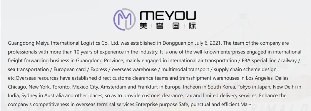 Professional Logistics Team