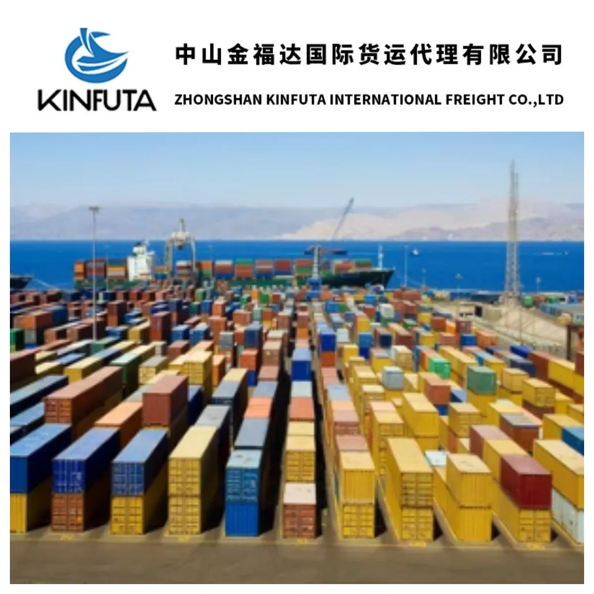 Reliable Freight Forwarding Services From China to Us / Europe by Sea