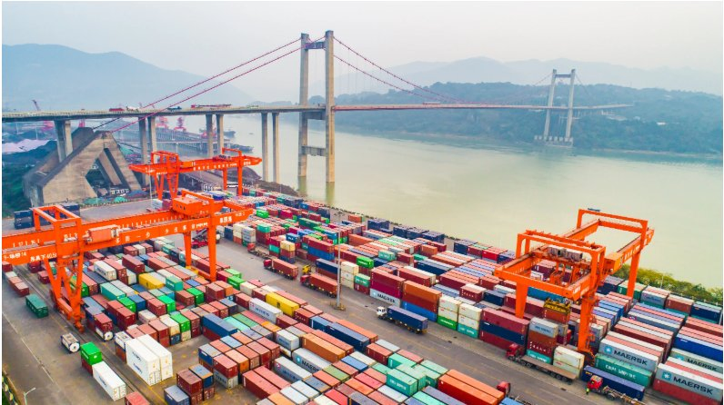 China to Mexico Fob Sea Freight Shipping Service