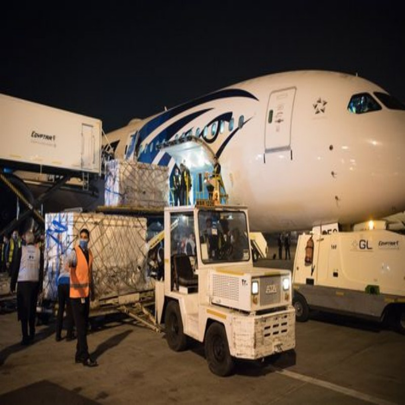 Low Cost Sea Shipping Agent DDP DDU FCL Logistics Services Full Container