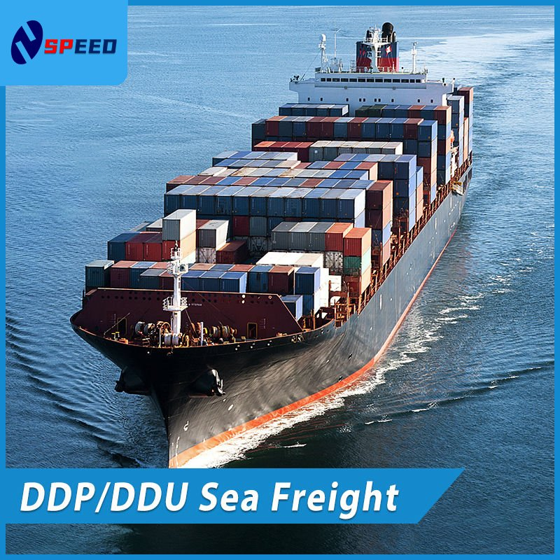 China Freight Forwarder Sea DDP Shipping to Mexico Sea Freight