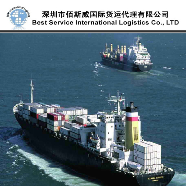 Sea Freight/Freight Forwarder/Logistic Service/Shipping Agent China to Australia, New Zealand, Canada, United States, Europe DDP DDU Service