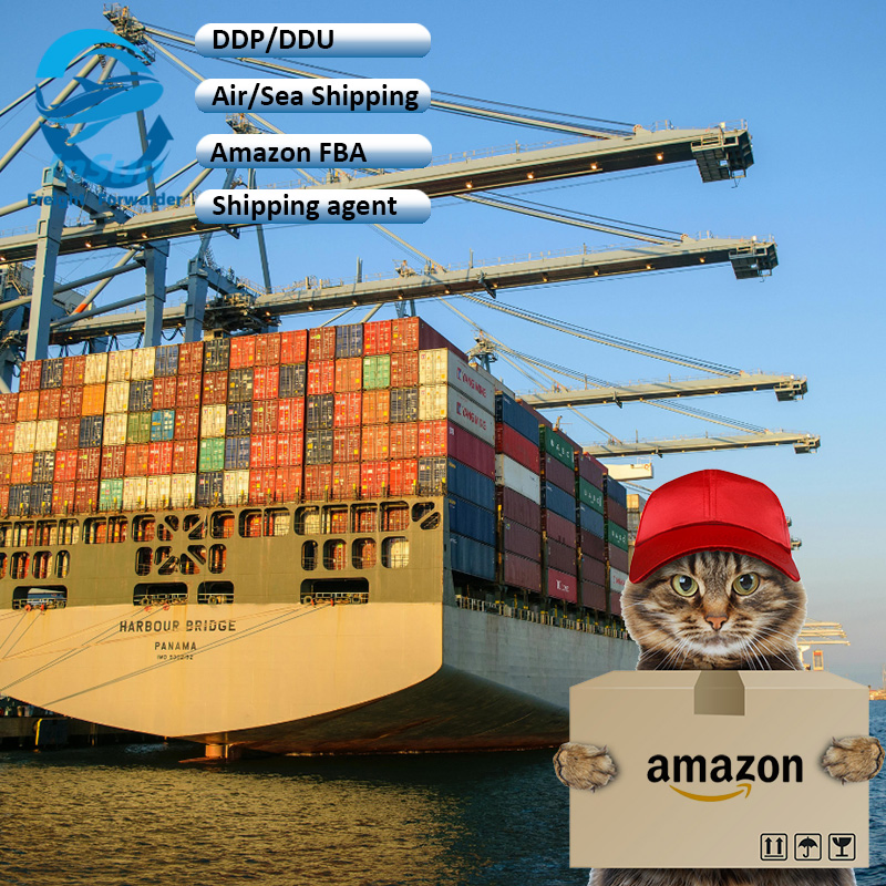 Superior Sea Freight DDP/DDU/CIF Forwarder Shipping Service Satisfying Price to Saudi Arabia