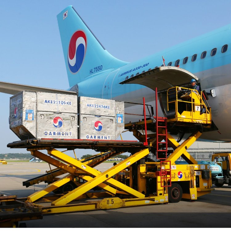 China Air Shipping Logistics Transporters to Brazzaville Spain Portugal Italy Egypt Congo Door to Door Service