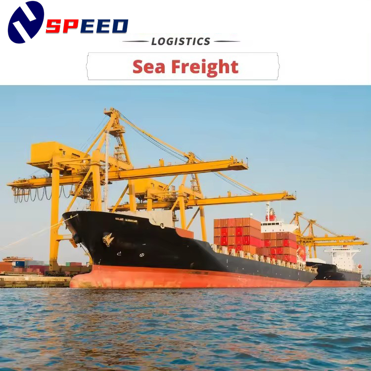 Cheap LCL Shipping Agent Sea Freight Forwarding DDP China to South Africa Door to Door Cargo Services with Customs Clearance