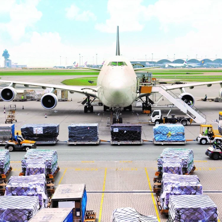 China Air Shipping Logistics Transporters to Brazzaville Spain Portugal Italy Egypt Congo Door to Door Service