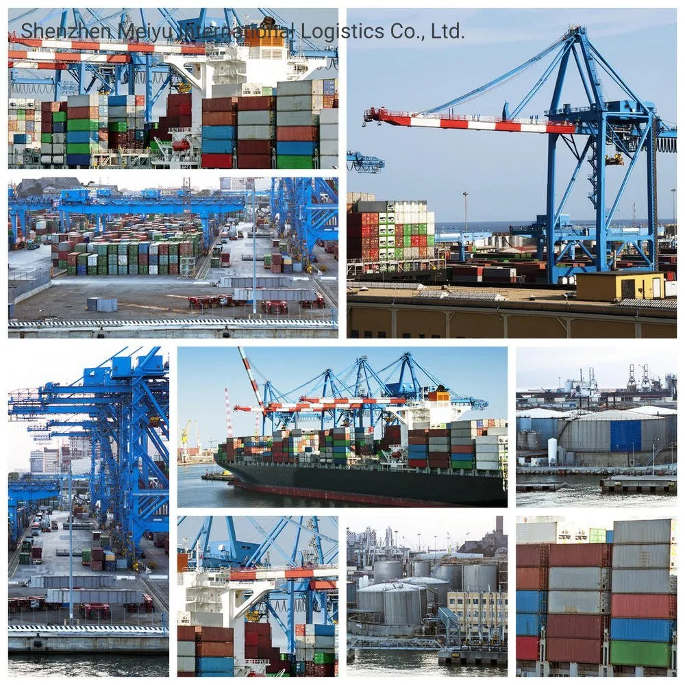International Sea Shipping From China to Europe Including Customs Clearance Service