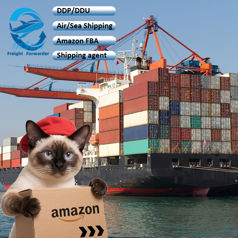 Quality Inspection DDP Delivery Services Sea Shipping From China to Belguim/USA /Canada/UK/Italy/Mexico/Germany/France