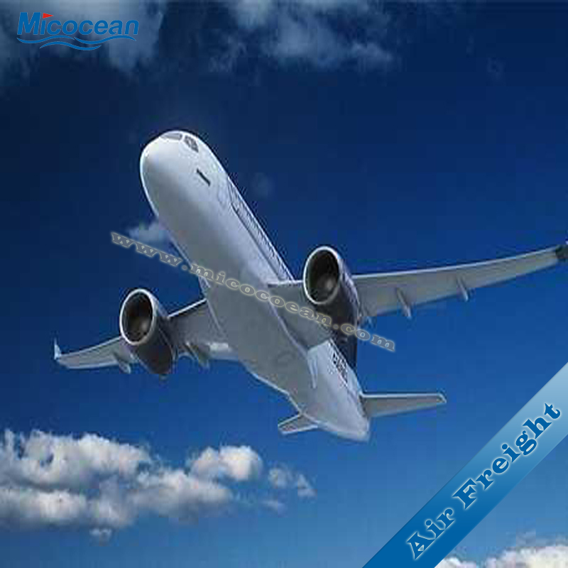 International Logistics DDU/DDP Sea Shipping Service to Russia From China