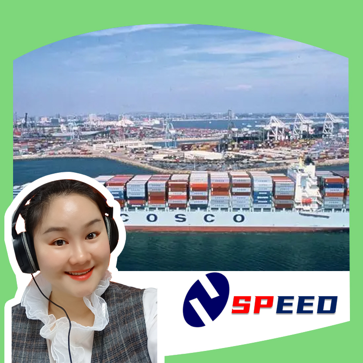 Experienced Service for Sea Freight Shipping with Cheap Costs to Mexico