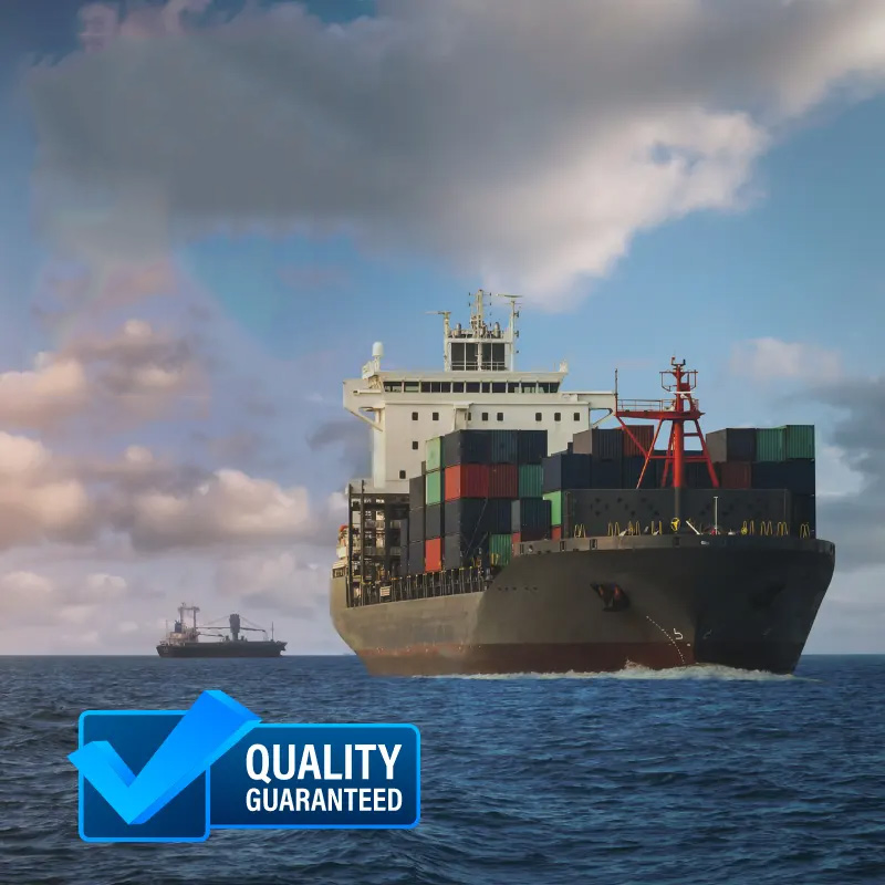 Top International Wholesale Logistic Freight Forwarder to USA DDP Order Dropshipping Forwarding Service