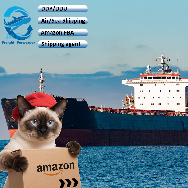 Sea Shipping LCL Integrated DDP Free Fba Label Door to Door Logistics to France