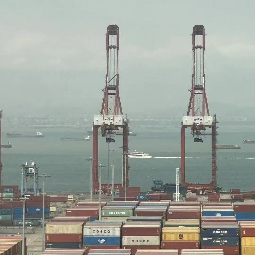 UPS DDP Sea Shipping Agent to Philippines, USA, Qatar, India, Pakistan Sea Freight Service