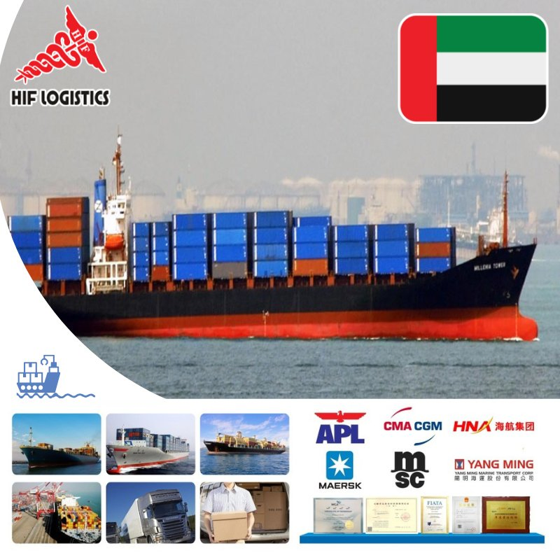 Fast Shipping Container Logistics or Sea Freight Forwarder Service to Worldwide DDP DDU Fob EXW