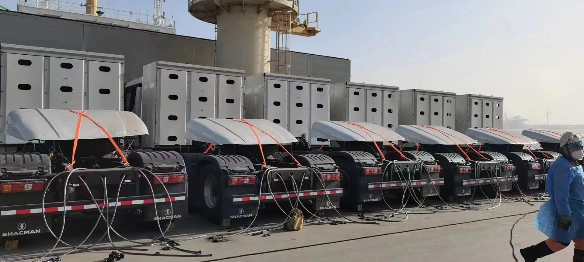 Cold Chain Logistics for China to The Bahamas RF Freight Forwarding