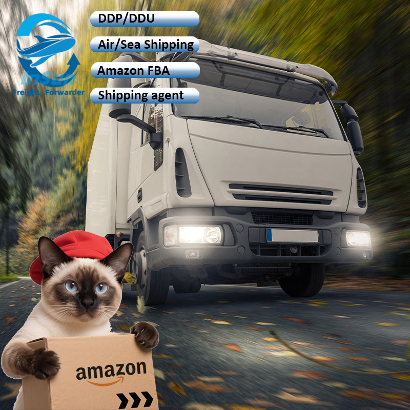 DDP/DDU/CIF Air Shipping Service From China to Sweden Czech Spain