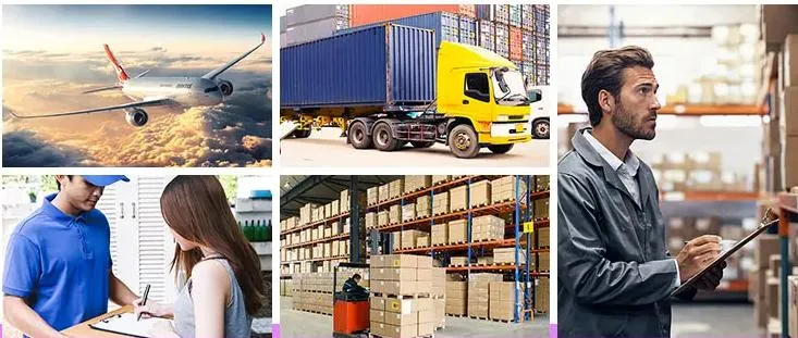 Logistics Timeliness