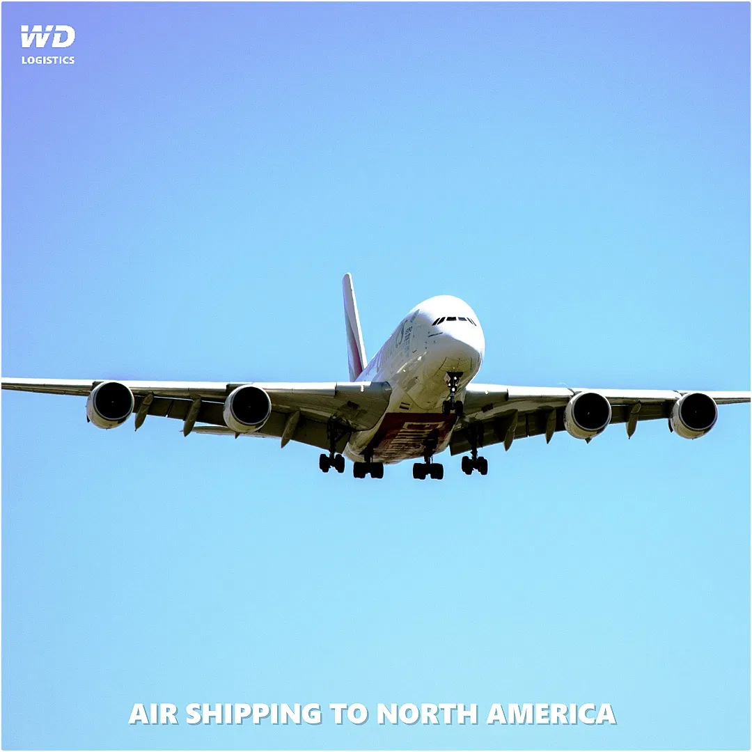 International From China to USA Moscow Russia Europe Saudi Arabia General Air Cargo Service Agent