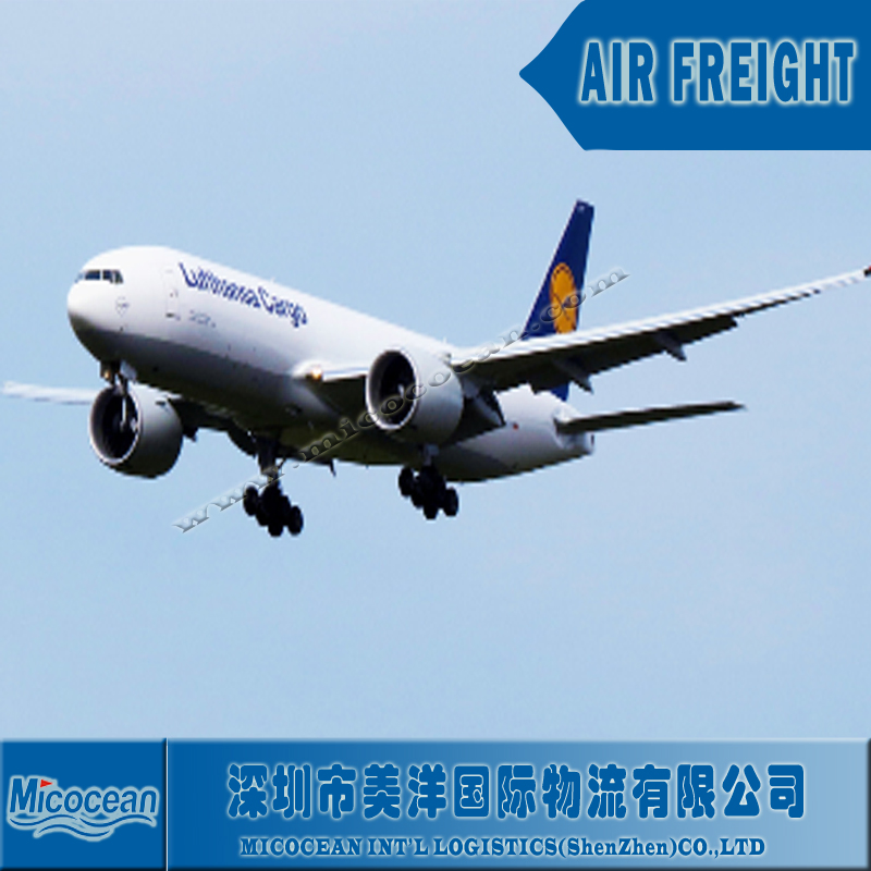 International Logistics DDU/DDP Sea Shipping Service to Russia From China