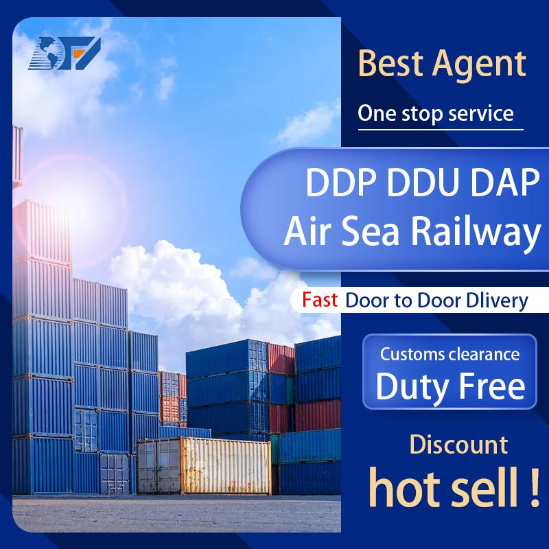 Canada Sea Shipping DDP Logistics Service with Low Shipping Cost