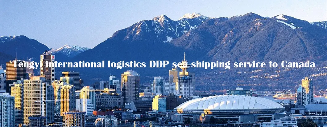Sea Shipping Logistics Service