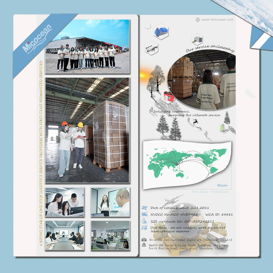 International Logistics DDP DDU Sea Shipping Service From China to Korea