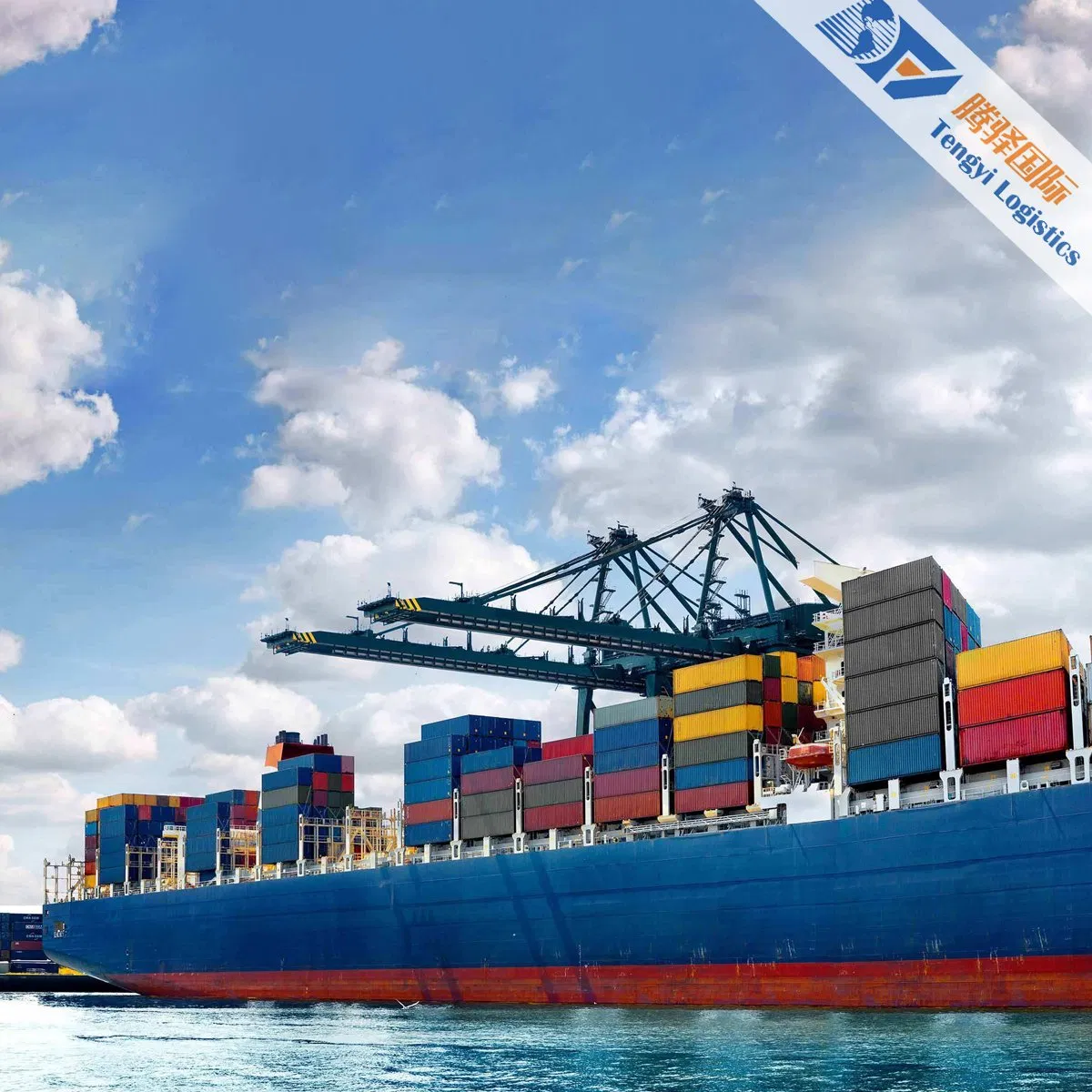 Canada Sea Shipping DDP Logistics Service with Low Shipping Cost
