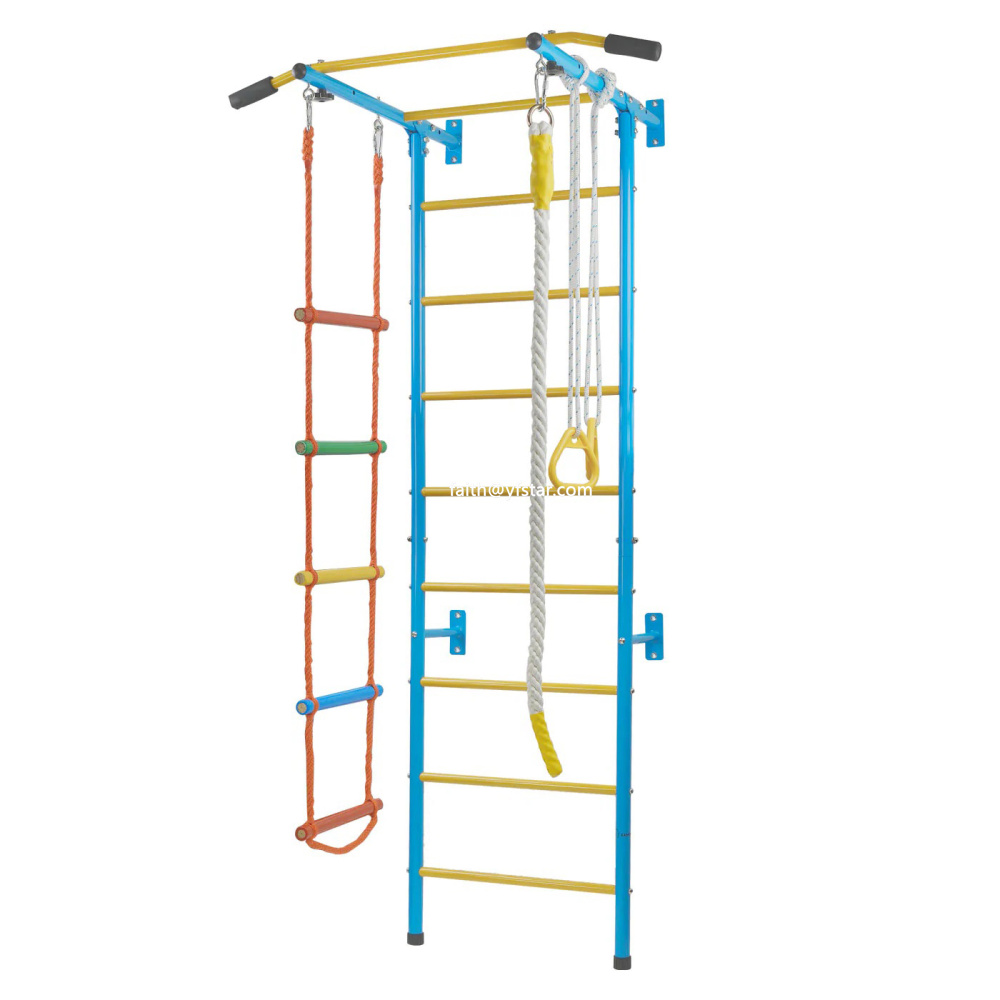 Kids Home Gym Swedish Wall Ladder Indoor Adventure Facility Jungle Gym Sports Kids Toys Kids Pull up Monkey Bar for Wholesale