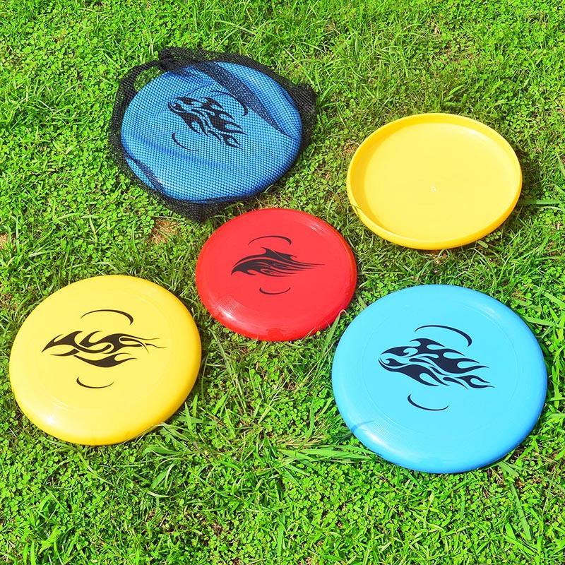 Flying Disc Detail 1