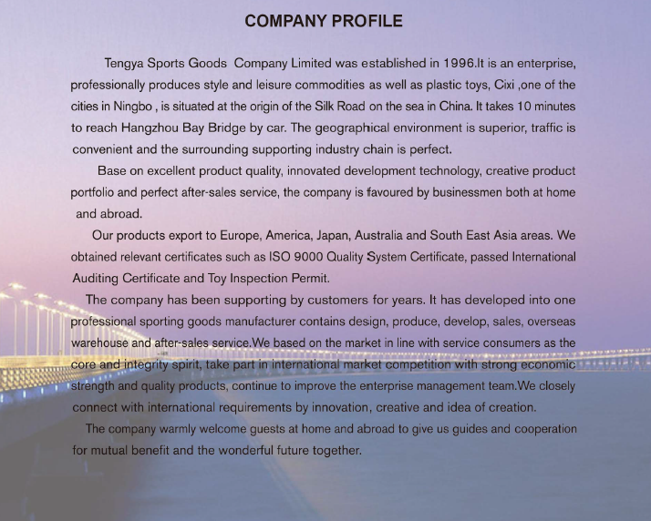 Company Overview