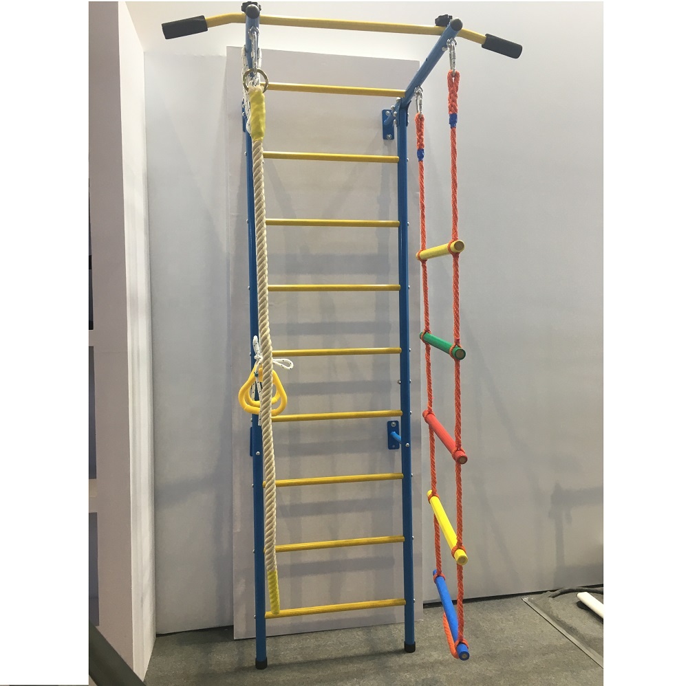 Kids Home Gym Swedish Wall Ladder Indoor Adventure Facility Jungle Gym Sports Kids Toys Kids Pull up Monkey Bar for Wholesale