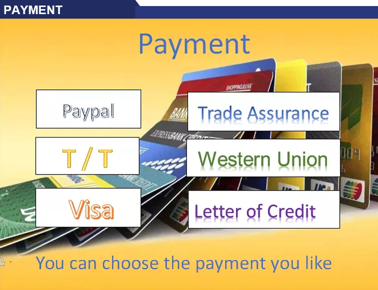 Payment