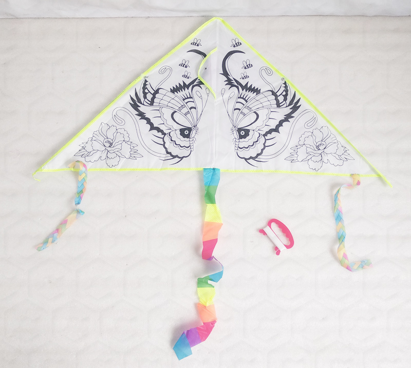 Flying Kite